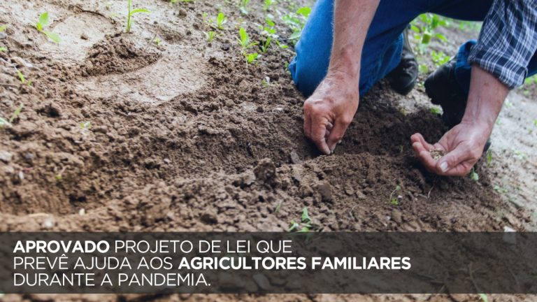 Deputado Dr. Luiz Ovando vota a favor de projeto que prevê auxílio aos agricultores familiares durante a Pandemia.