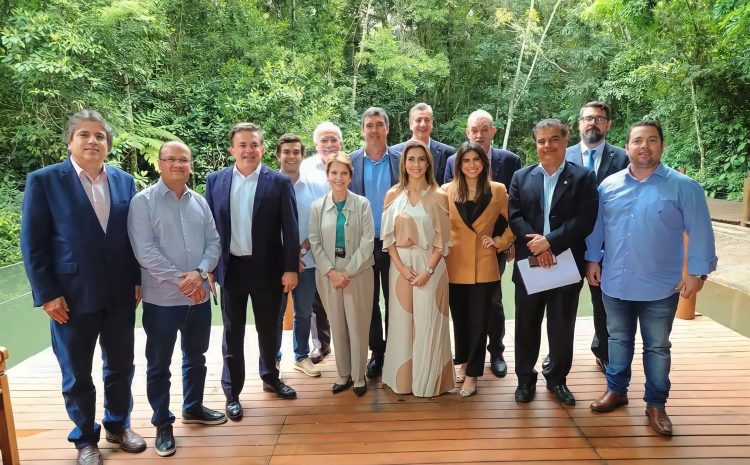  Dr. Luiz Ovando se reúne com governador e bancada para definir pauta de prioridades para Mato Grosso do Sul